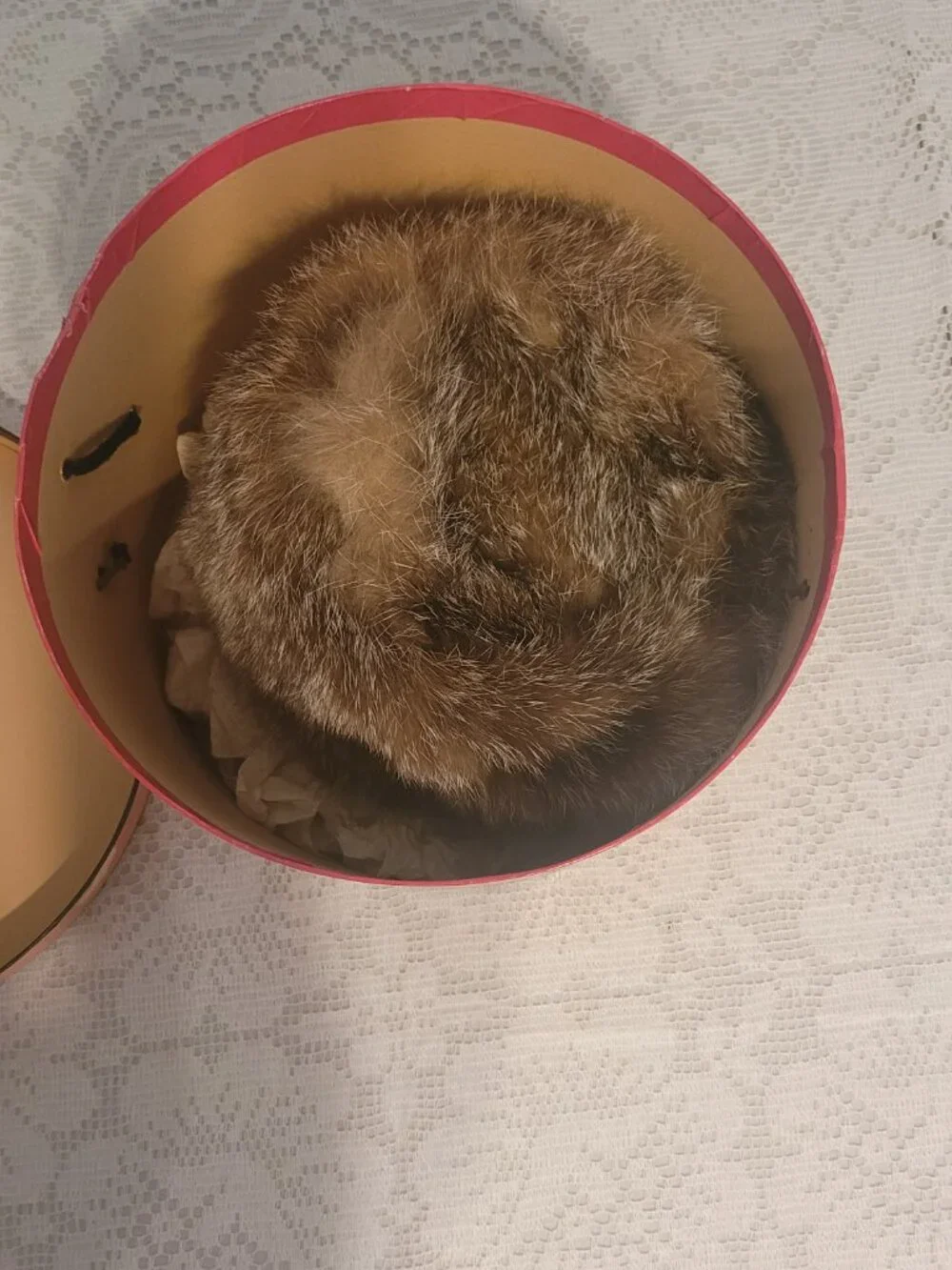 Vintage Fur Hat with Rare Schiaparelli Hat Box - Picture 2 of 6